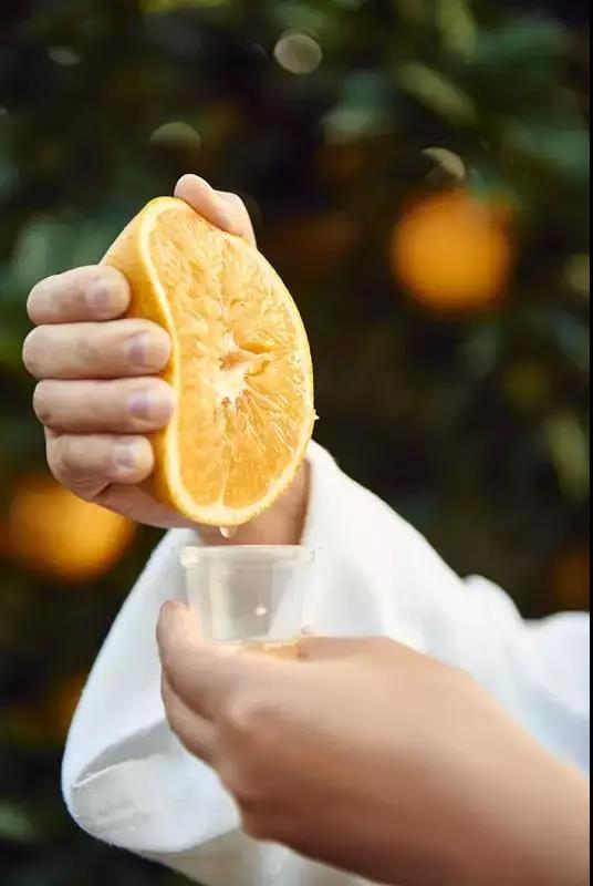 臍橙采摘季 歡樂信豐行 安西篇